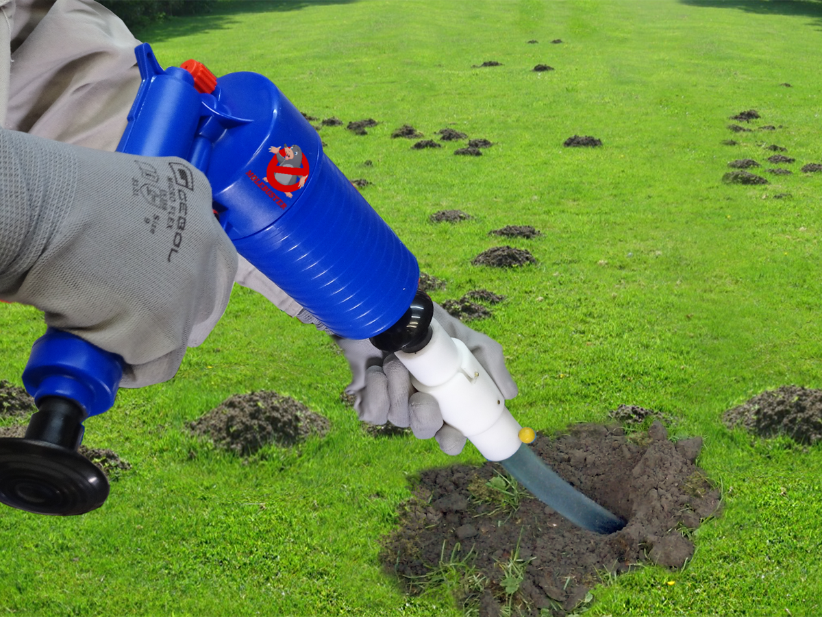 Den Schlauch f&uuml;r den Schuss mit Geruchsladung in den Maulwurfsgang stecken